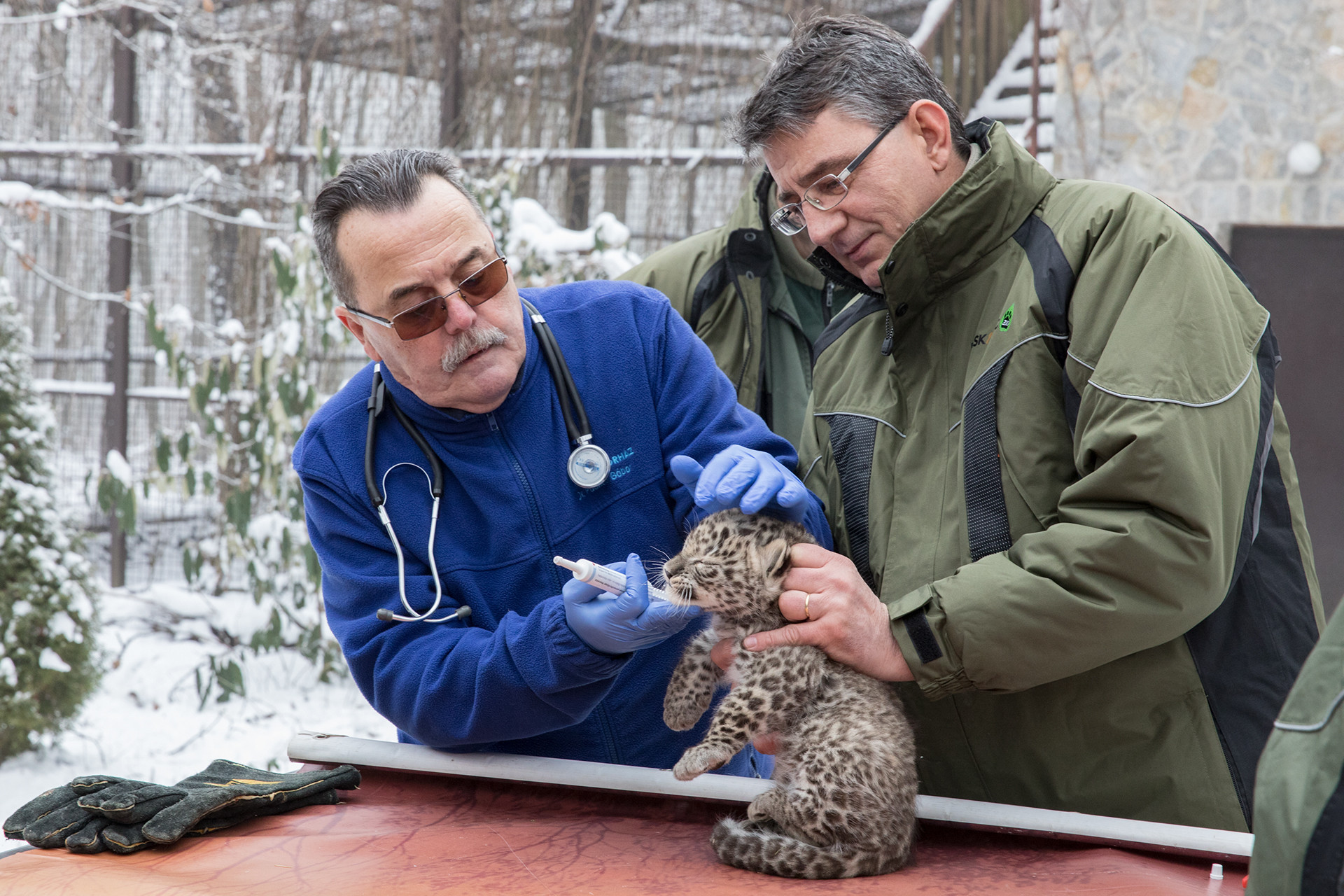 6 Egzotikius Pj M4 13051